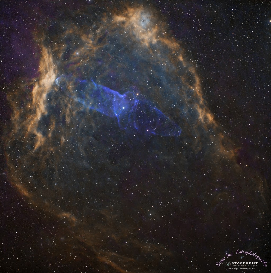 Flying Bat and Squid Sh2-129 and&nbsp;Ou4